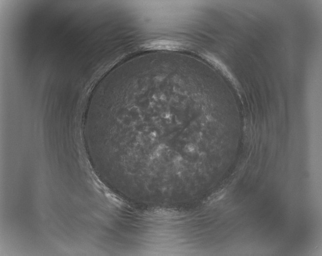 X0000070340529200606161253