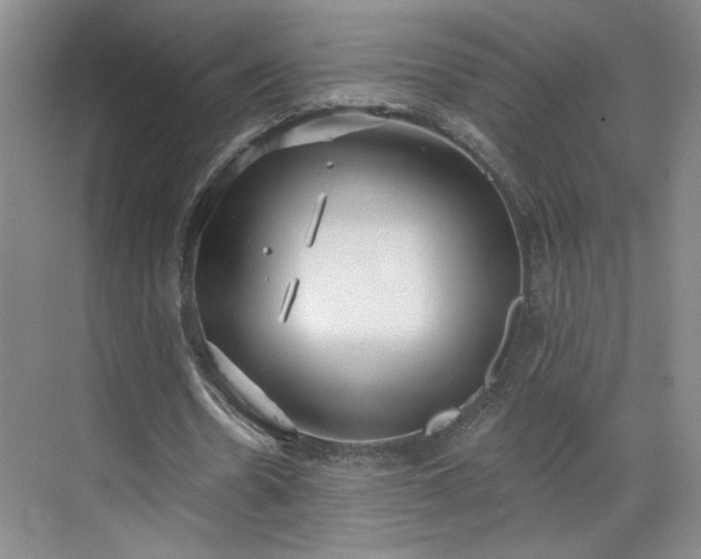 X0000070340530200606161253