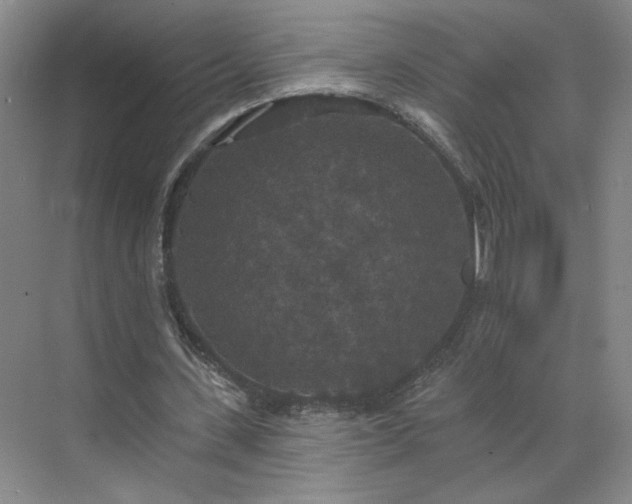 X0000070340531200606161253