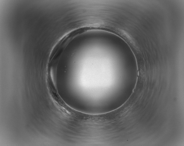 X0000070340532200606161253