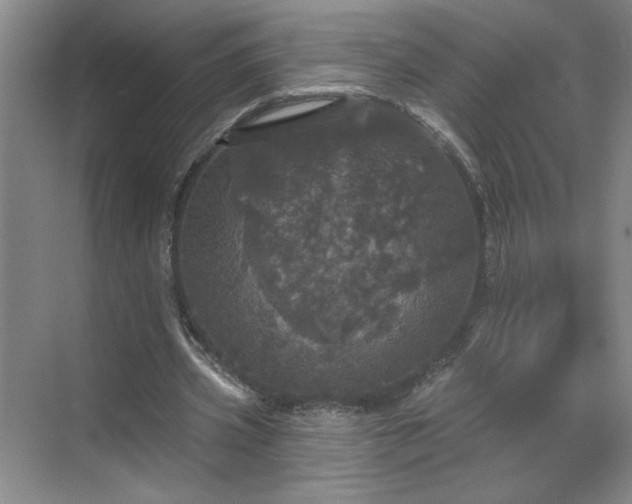 X0000070340533200606161253