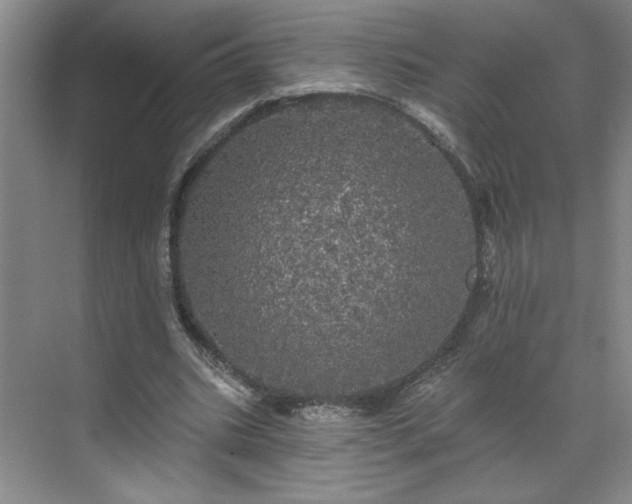 X0000070340535200606161253