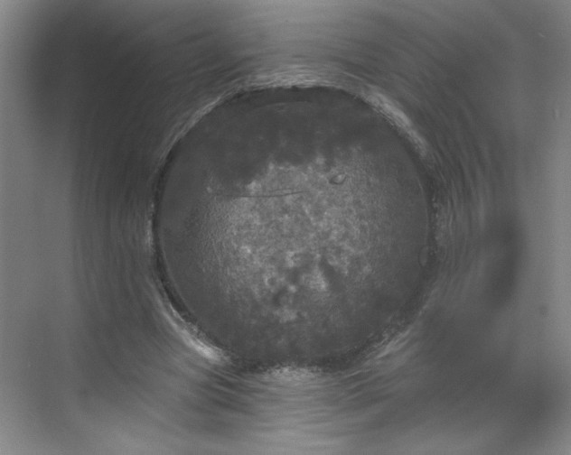 X0000070340537200606161253