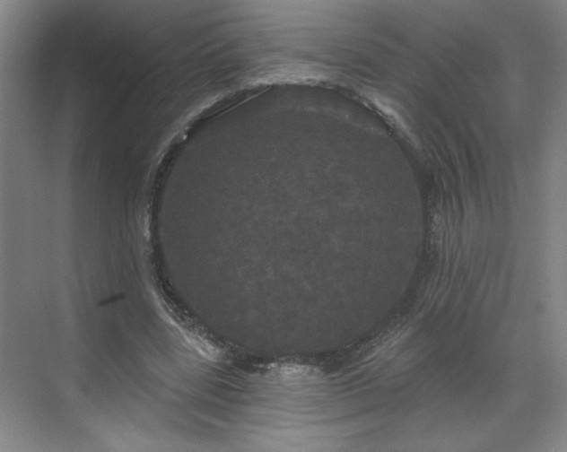 X0000070340539200606161253