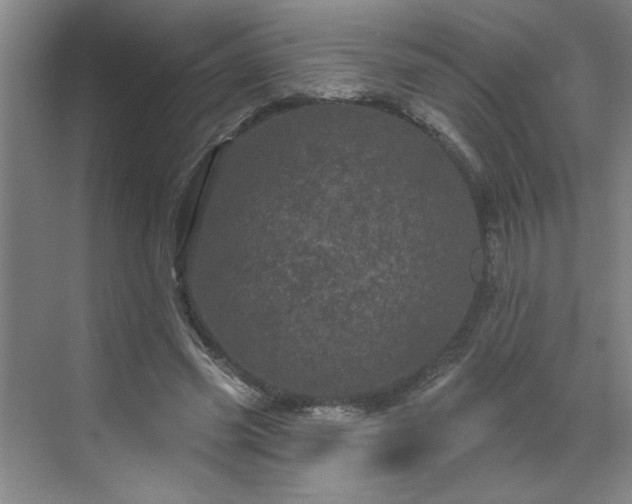 X0000070340541200606161253