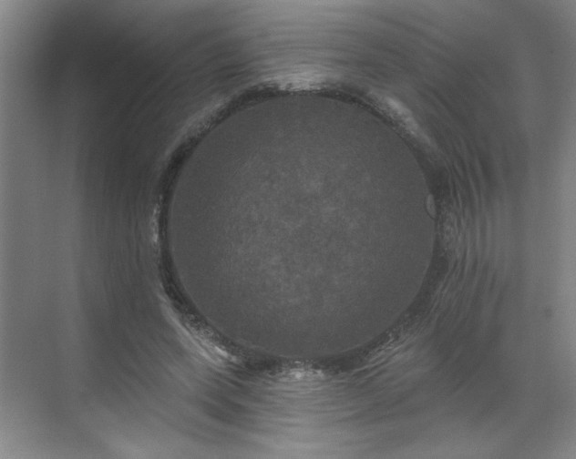 X0000070340543200606161253