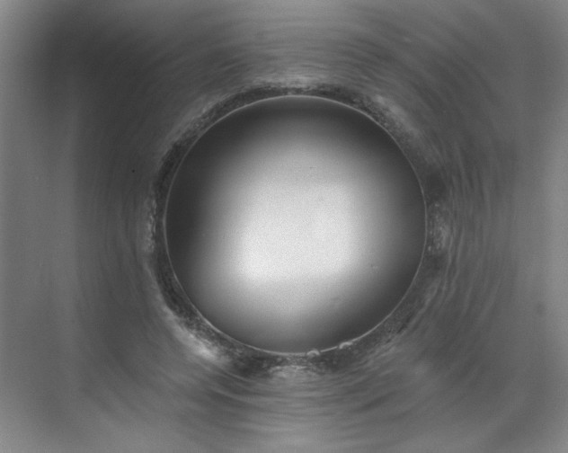 X0000070340544200606161253