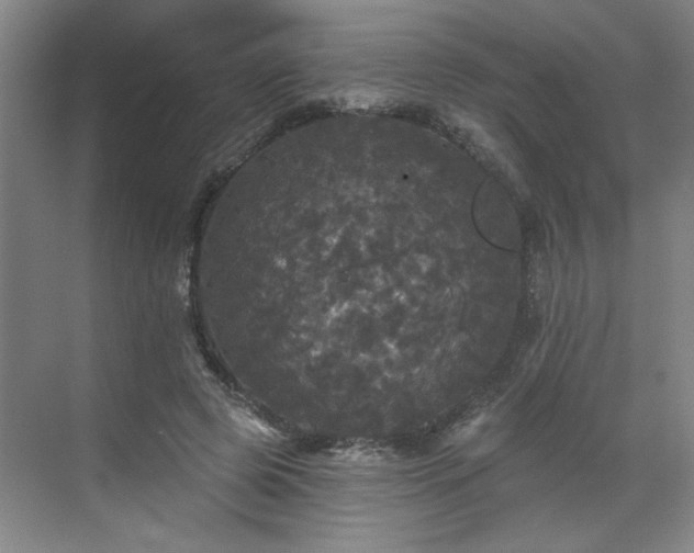 X0000070340545200606161253