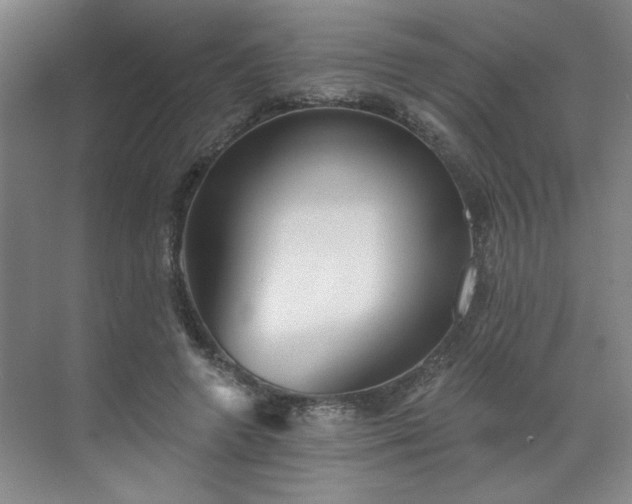 X0000070340546200606161253