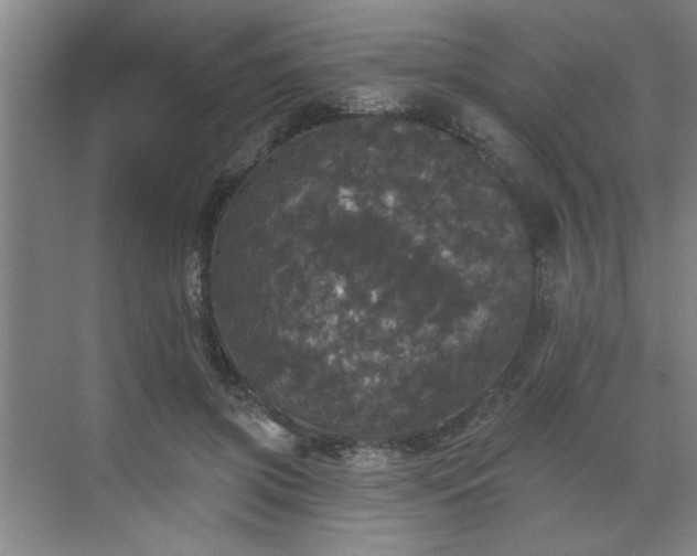 X0000070340549200606161253