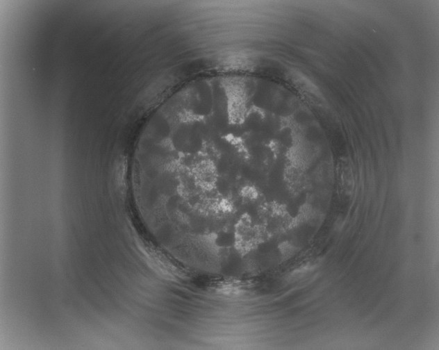 X0000070340550200606161253