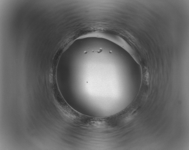 X0000070340552200606161253