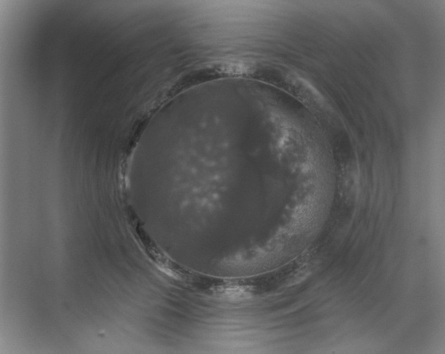 X0000070340553200606161253