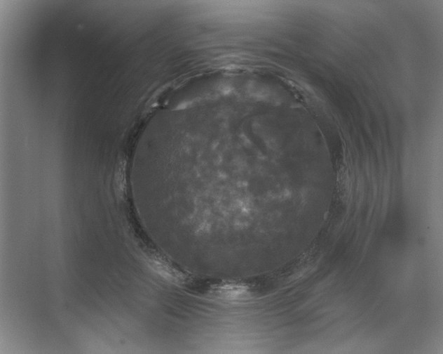 X0000070340554200606161253