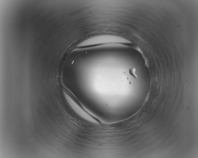 X0000070340556200606161253