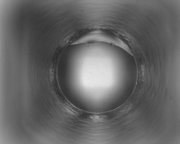 X0000070340558200606161253