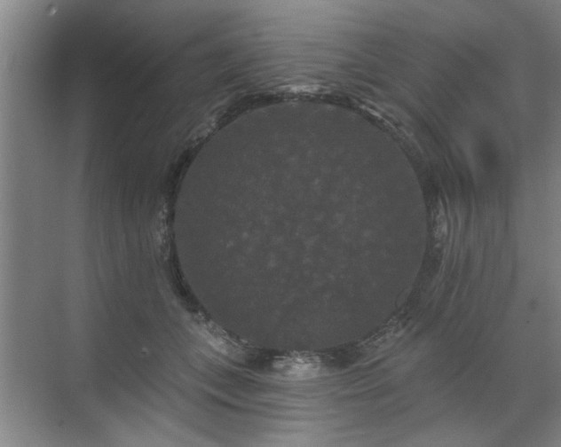 X0000070340559200606161253