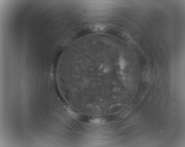 X0000070340561200606161253