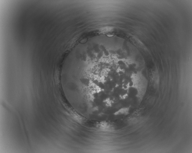 X0000070340565200606161253