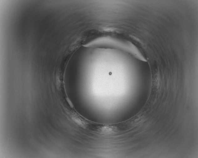 X0000070340566200606161253