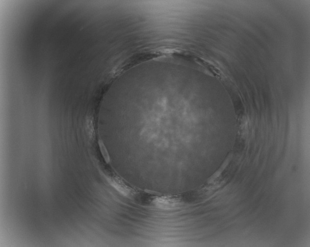 X0000070340568200606161253