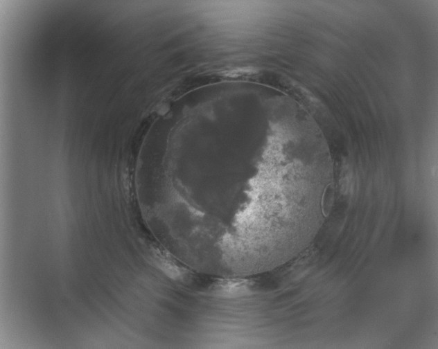 X0000070340569200606161253