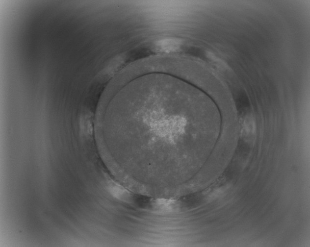 X0000070340570200606161253