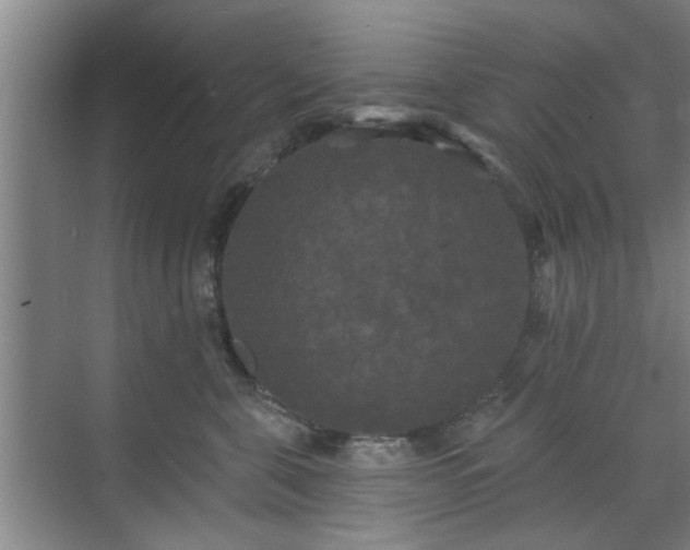 X0000070340571200606161253