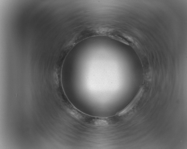 X0000070340572200606161253