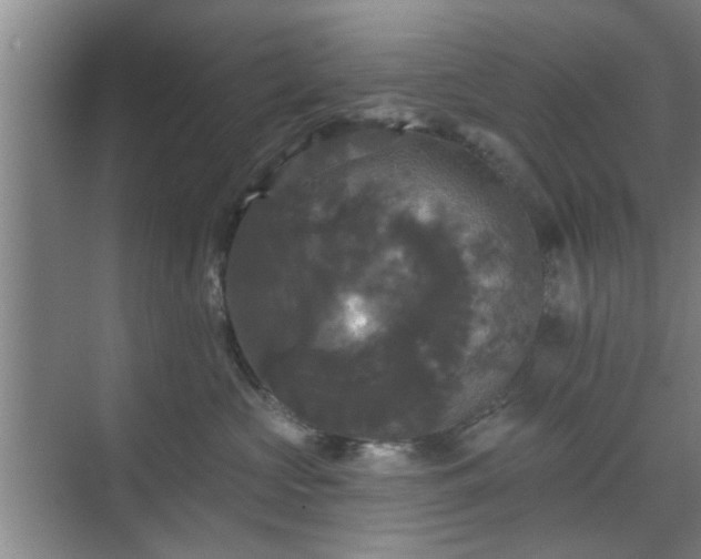 X0000070340573200606161254