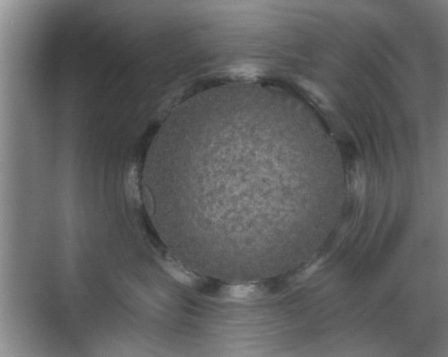 X0000070340575200606161254