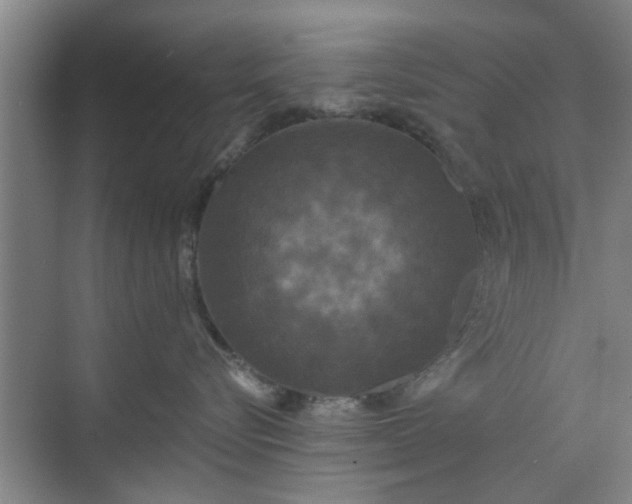 X0000070340576200606161254