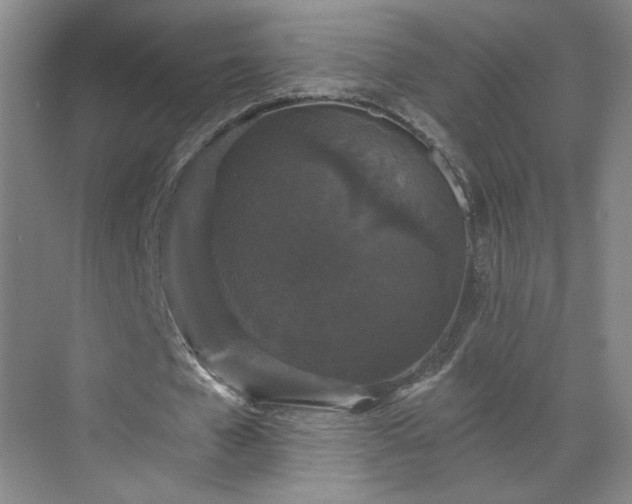 X0000070340577200606161253