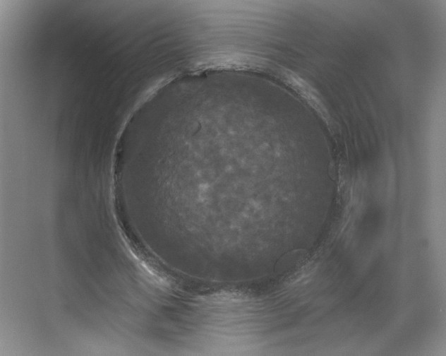 X0000070340578200606161253