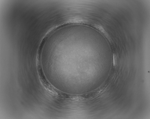 X0000070340579200606161253