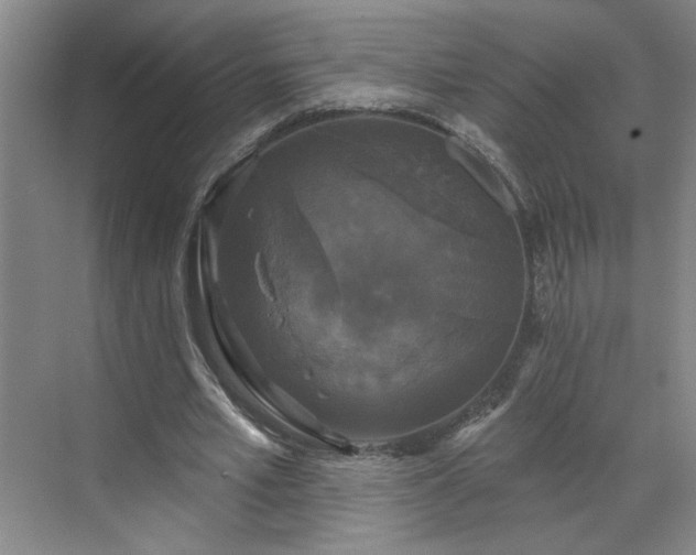 X0000070340581200606161253