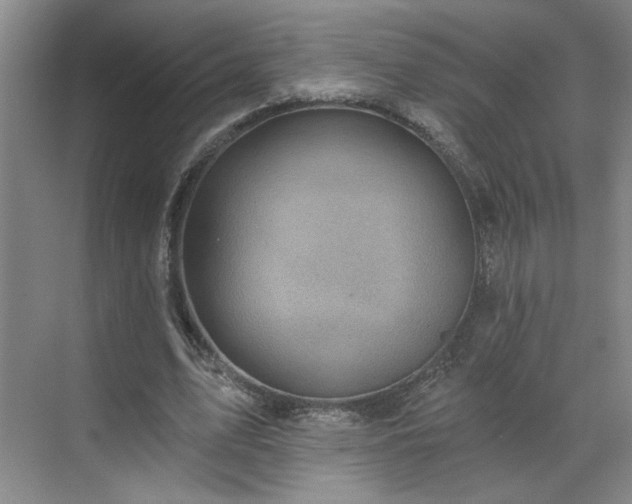 X0000070340583200606161253