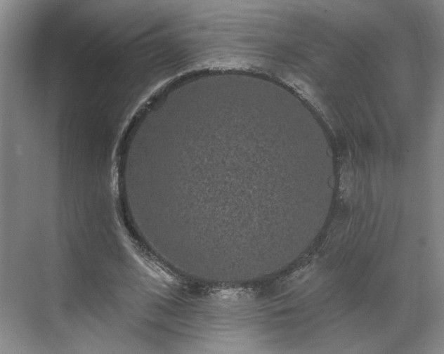 X0000070340584200606161253