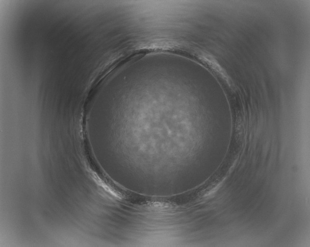 X0000070340585200606161253