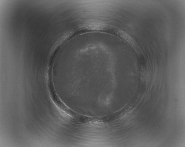 X0000070340586200606161253