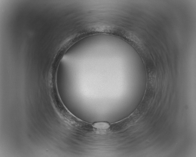 X0000070340587200606161253