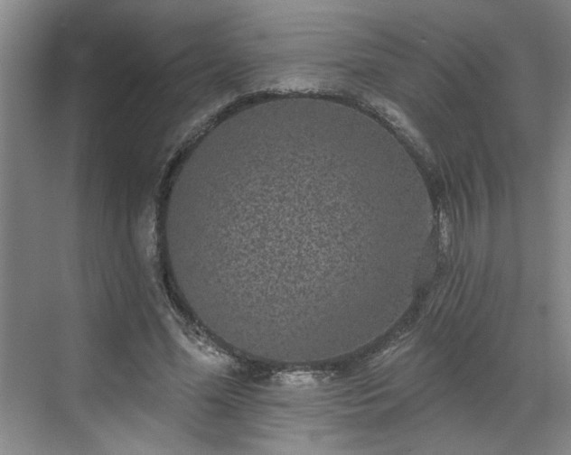 X0000070340588200606161253