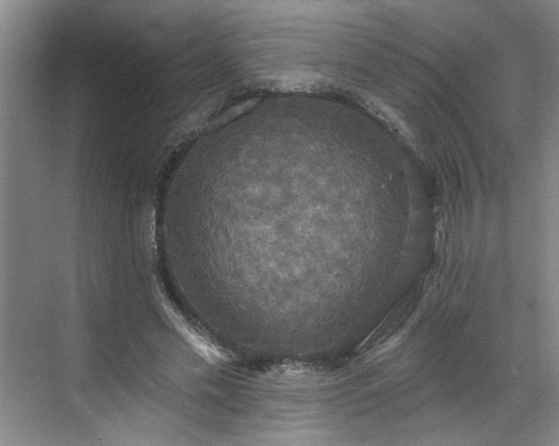 X0000070340589200606161253