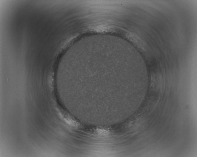 X0000070340592200606161253