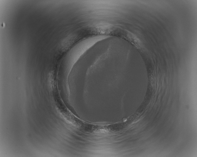 X0000070340594200606161252