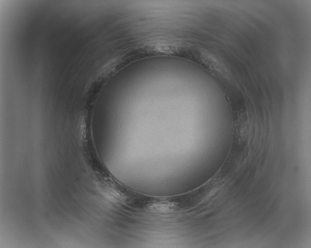 X0000070340595200606161252