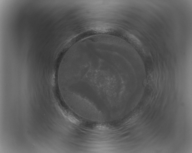 X0000070340596200606161252