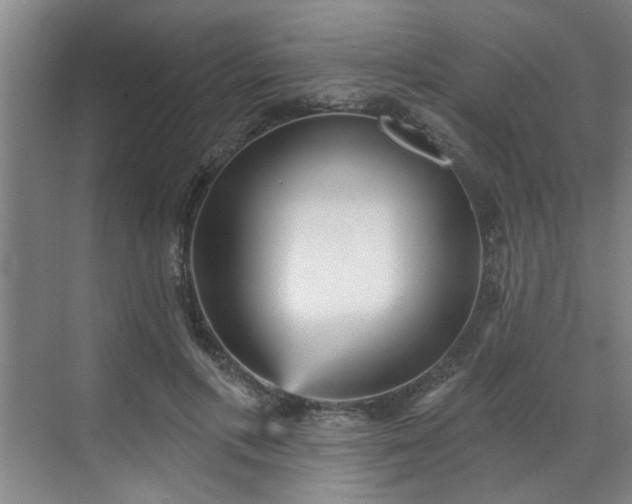 X0000070340597200606161252