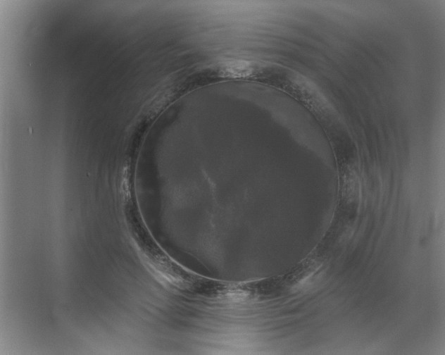 X0000070340598200606161252