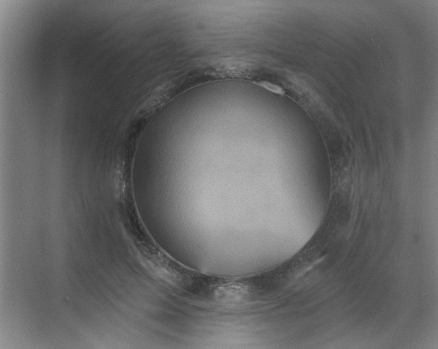 X0000070340599200606161252